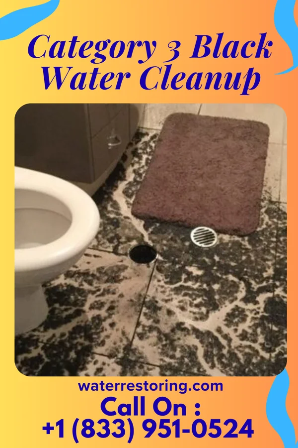 Category 3 Black Water Cleanup in Josephville, MO